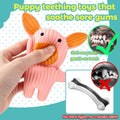 LECHONG 5 Pack Latex Dog Toys for Small Dogs – Squeaky Squeeze Toys, Puppy Teething Chew Toys, Soft Rubber Pet Toys, 4.7