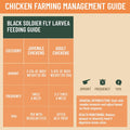 Joyprotyn 5LB Non-GMO Dried Black Soldier Fly Larvae for Chickens – 85X More Calcium Grubs Than Mealworms for Strong Eggshells & Healthy Growth - High Protein for Chickens, Birds, Ducks, Geese & Pets