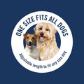 PetArmor Plus Flea & Tick Collar for Dogs, Kills Fleas & Ticks, Long Lasting Protection for 12 Months, Water Resistant, 