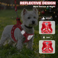 PAWCHIE Christmas Dog Harness and Leash Set, Step in No Pull Soft Pet Harness, Reflective Adjustable Puppy Vest for Medi
