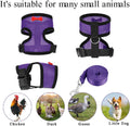 Adjustable Chicken Harness and Leash, Breathable Mesh Hen Vest for Rooster