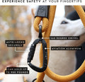 MADE TO ROAM Premium Explorer Leash - Climbing Rope Leash with Autolocking Aviation Aluminum Carabiner - Colorado Nights
