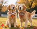 Fall Dog Bandanas 2PCS Large Plaid Tassels Halloween Thanksgiving Outfit
