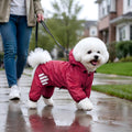 Dog Raincoat, Waterproof Small Medium Dogs Rain Jacket with Hood