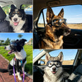 Enjoying Clear Dog Goggles Medium to Large Breed, Dog Sunglasses UV Protection, Large Dogs Driving Eye Protection, Outdo