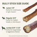 Downtown Pet Supply Bully Sticks for Dogs - Natural 6 Inch Beef Chews, Odor-Free & Rawhide-Free, Long Lasting Dog Treats