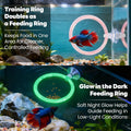 Betta Fish Toys, 1 Betta Fish Tunnel Hammock, 1 Fish Mirror with Floating Ball & 2 Exercise Training Ring Toys, Betta Fi