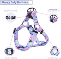 QQPETS Dog Harness Leash Set Adjustable Heavy Duty No Pull Halter Harnesses for Small Medium Large Breed Dogs Back Clip 