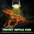Reptile Heat Lamp Bulbs, UVA Reptile Heat Bulb 2 Pack, 40 Watt Heat Light Bulbs, Daylight Basking Spot Light for Lizard,