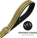 Hikiko 6FT Dog Leash with 2 Padded Handles Reflective