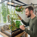 Reptile Plants for Terrarium Tank, Artificial Hanging Plant Vines with Suction Cups, Bearded Dragon Tank Accessories, Ge