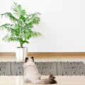 POMEAT Cat Scat Mat with Spikes Cat Deterrent Outdoor Scat Mats for Cats and Dogs (Black)