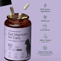 Animal Biome Cat Pre and Probiotic, S Boulardii, Gut Maintain