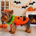 ABRRLO Funny Dog Pumpkin Costume Small Dog Cat Halloween Costumes Boy Girl Cute Halloween Dogs Shirt with Leash Ring Pum