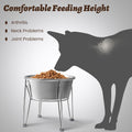 Wellbro Elevated Dog Bowls for Medium&Small Dogs - Stainless Steel 48oz/6 Cups Raised Feeder with Non-Slip Base, Dual Food & Water Bowls 2-Pack