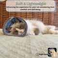 PENTAK Soft Cat Cone Collar, Designed for Small Kittens Young Cats, E Collar for Cats, Cat Recovery Collar, Cone for Cat