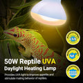 REPTI ZOO Reptile Heat Lamp, 2 Pack 50W Daylight Basking Spot Lamp for Reptiles UVA Daylight Heating Lamp Bulb Basking L