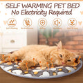 VitalCozy 2 Pack Self Heating Cat Pad Self Warming Dog Mat