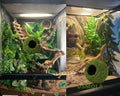 USMOLA Mossy Caves, Artificial Green Moss Caves Hide for Pet Reptile Frogs and Snakes, Terrarium & Vivarium Decor, Crest