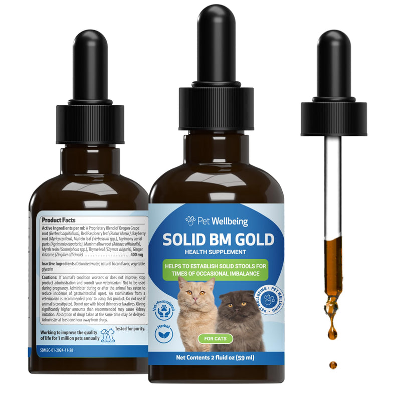 Pet Wellbeing Solid BM Gold for Cats - Supports Healthy Digestive Function, Solid Stools, Normal Bowel Movements, Bayberry- Veterinarian-Formulated Herbal Supplement 2 oz (59 ml)