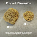 Naroa Natural Hermit Crab Sponges - Pack of 5 | Unbleached Sea Sponge for Water Drinking Safety | Aquarium Decor Balance
