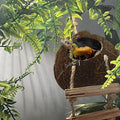 6PCS Crested Gecko Coconut Hut, Lizard Coco Den with Ladder and Reptile Hammock Bearded Dragon Tank Accessories Climbing