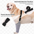 IDOMIK Dog Recovery Suit for Front Legs, Dog Recovery Sleeves,Grey,2XL