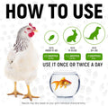 Herbal Pet Antibiotics for Rabbits, Reptiles, Turtles, Guinea Pigs, Fish – Chicken Antibiotics in Liquid for All Birds (Duck, Turkey, Goose) – For UTIs, Allergies, Runny Nose & Digestion – 2-oz Bottle