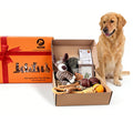 AiVIE Pet Gift Basket, 10 Piece Dog Gift Box, for Welcome New Puppy Gift Basket and Pet Essentials for New Owners