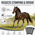 Fly Boots for Horses Set of 4 - Breathable Mesh Equine Leg Protection,Anti-Sag Stay-On Horse Fly Boots,Reduces Stomping 
