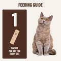 ivvi Indoor Hairball Support Cat Treat – Creamy Lickable Treat for Indoor Cats – Malt & Fiber Digestive Support – Helps Reduce Hairballs – Grain Free – 15g Sachets