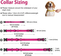 Padded Martingale Collar for Medium Dogs, Quick Release Buckle
