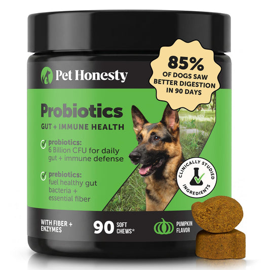 6 Billion CFU Dog Probiotics with Prebiotics, Digestive Enzymes, & Fiber - Relief for Occasional Diarrhea, Gas, Bloating & Itchy Skin - Daily Gut Health & Immune Support for All Dogs (Pumpkin, 90 ct)