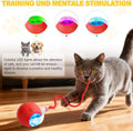2-Pack USB Rechargeable Smart Cat Toy Ball for Indoor Cats & Small Dogs