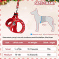 PAWCHIE Christmas Dog Harness and Leash Set, Step in No Pull Soft Pet Harness, Reflective Adjustable Puppy Vest for Medi