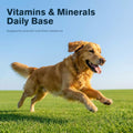 Lactoferrin Supplements for Dogs Powder, Daily Immune Nutrition with CoQ10 & Beta-Glucan, Essential Vitamins & Minerals for Whole-Body Wellness, Chicken Flavor, Easy-Mix Supplement, 2.12 oz