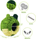 KATUMO Bird Nest, Small Sun Conure Breeding House Parrotlet Snuggle Hut Lovebird Bed for Conure, Lovebird, Zebra Finch, Loriculus, Hamster and Other Small Birds (Less Than 5 inches Long)