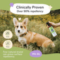 Flea Tick Protection Kit (Lavender Shampoo - Lavender Spray)