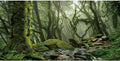 36x20 in Terrarium Backdrop Foggy Forest Stream Reptile Habitat Background