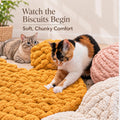 Cat Kneading Mat, Handmade Round Cushion Bed Pad Kittens (Green,M)