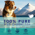 Liquid Fish Oil for Dogs with Omega 3, 6 & 9 Fatty Acids, Wild Caught from Iceland, Skin and Coat Supplement for Sheddin