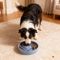 Fancy Lemon Ceramic Slow Feeder Dog Bowl, 3 Cup Dog Food or 25oz Water, Slow Eating Bowl for Middle Breed, Maze Puzzle Feeder for Fast Eaters, Anti-Choking Stop Bloat, Non-Slip BPA Free (Blue)