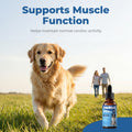 Taurine Supplement for Dogs Drops, Daily Amino Acid Liquid Drops for Heart Function, Muscle Support, Energy Balance & Physical Stability, 60 ml