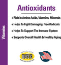 Vet Classics Coenzyme Q-10 Antioxidant Dog Supplement – Pet Health Supplement for Dogs – Supports Overall Dog Wellness, Aging – Includes Green Tea, Vitamin C, Wheat Grass – Chewable Tablets 120 Ct.