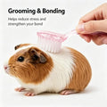 3Pcs Hamster Bath Brush and Comb Soft Cleansing Brush for Guinea Pig, Rats, Chinchilla, Bunny, Turtle Small Animal Groom