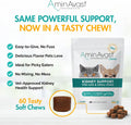 AminAvast Small Dogs & Cat Kidney Support - Promotes Healthy Kidney Support in Cats & Small Dogs - 300mg, 60 Capsule