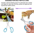 Bearded Dragon Tank Accessories Kit – 10pcs Reptile Water Food Bowl, Feeding Tongs with Rubber Tip, Grooming & Cleaning 