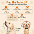 Avont 2-in-1 Inflatable Dog Cone Collar with Transparent Shield, Soft Donut E-Collar Alternative After Surgery to Stop Licking, Recovery Cone for Large Dogs - Swimring (L)