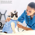 Cat Recovery Suit Onesie for Large Cats，Bodysuit for Cats After Surgery