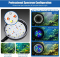 Clip On Aquarium Light 8W LED Fish Tank Light with Full Spectrum & Dimmable Brightness USB Moving Aquarium Lamp for 1-5 